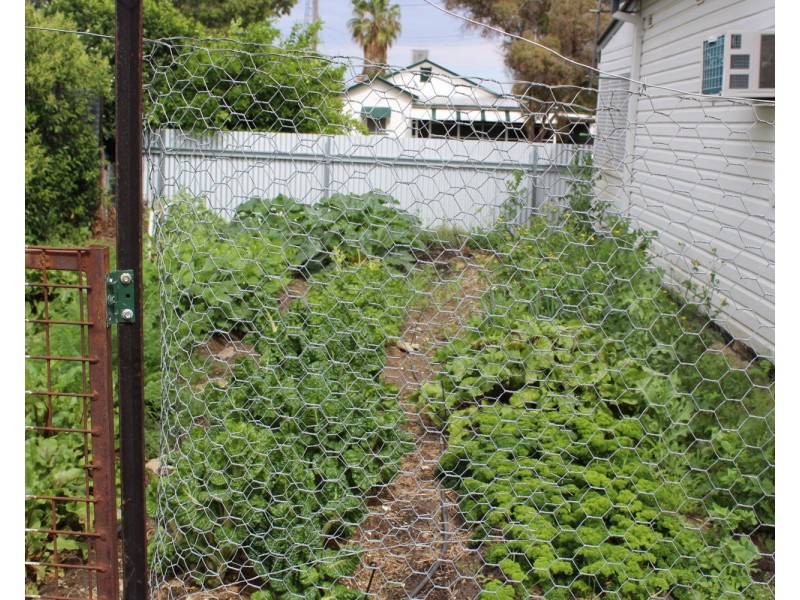 38 Oak Street, Moree NSW 2400