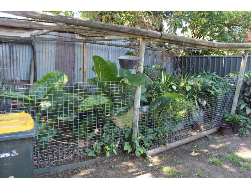 13 Iris Street, Moree NSW 2400