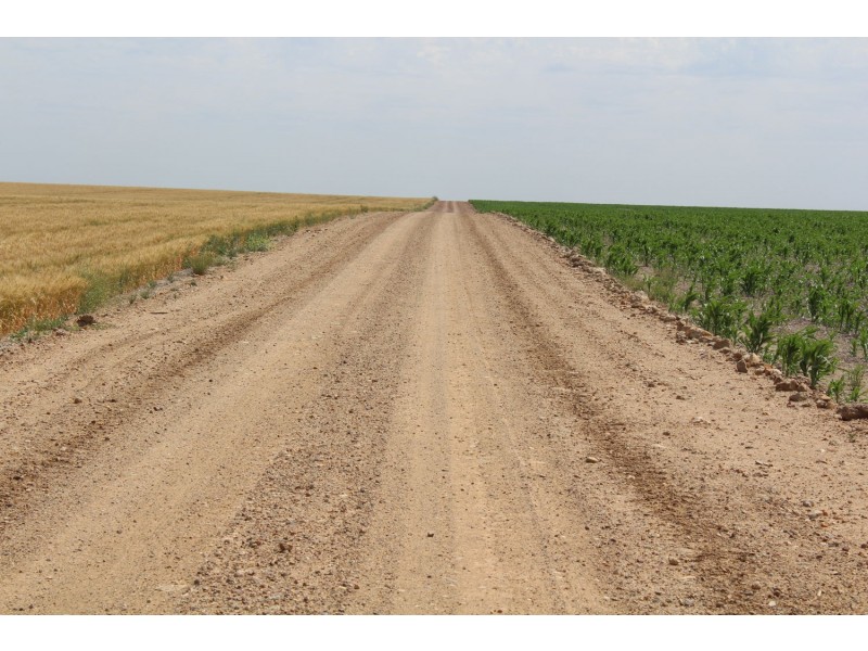 “Buckie”, Croppa Creek NSW 2411