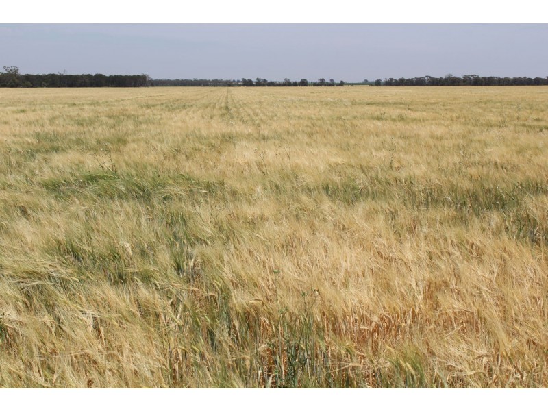 “Colarado”, Croppa Creek NSW 2411
