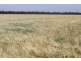 “Colarado”, Croppa Creek NSW 2411