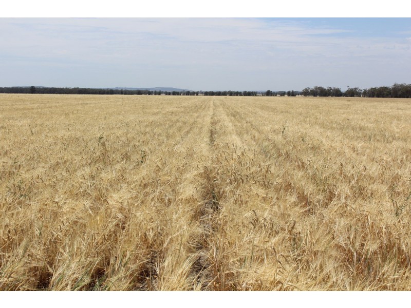 “Allendale”, Croppa Creek NSW 2411