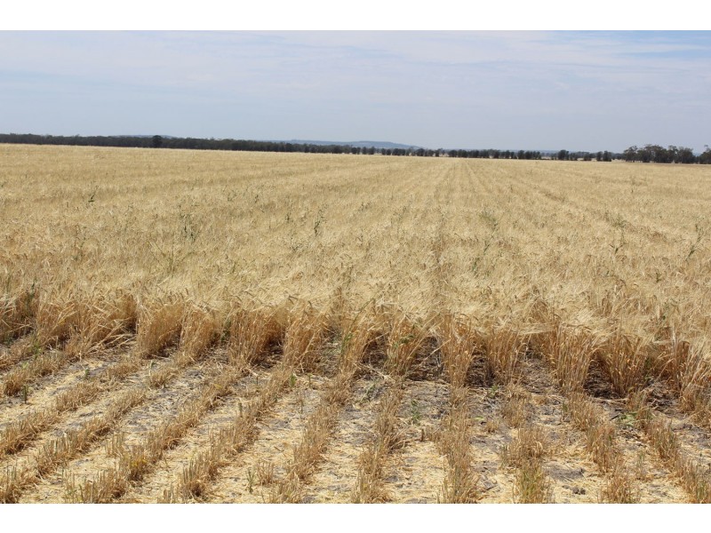 “Allendale”, Croppa Creek NSW 2411