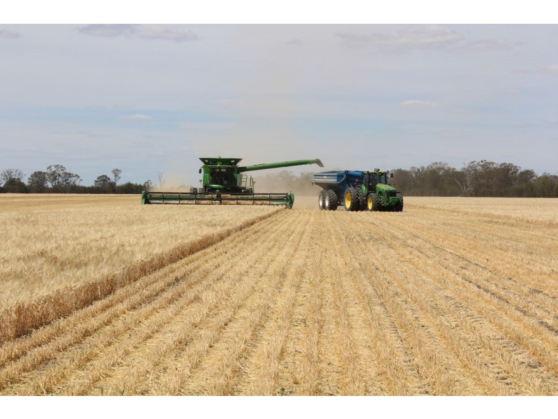 “North Yambin”, Croppa Creek NSW 2411