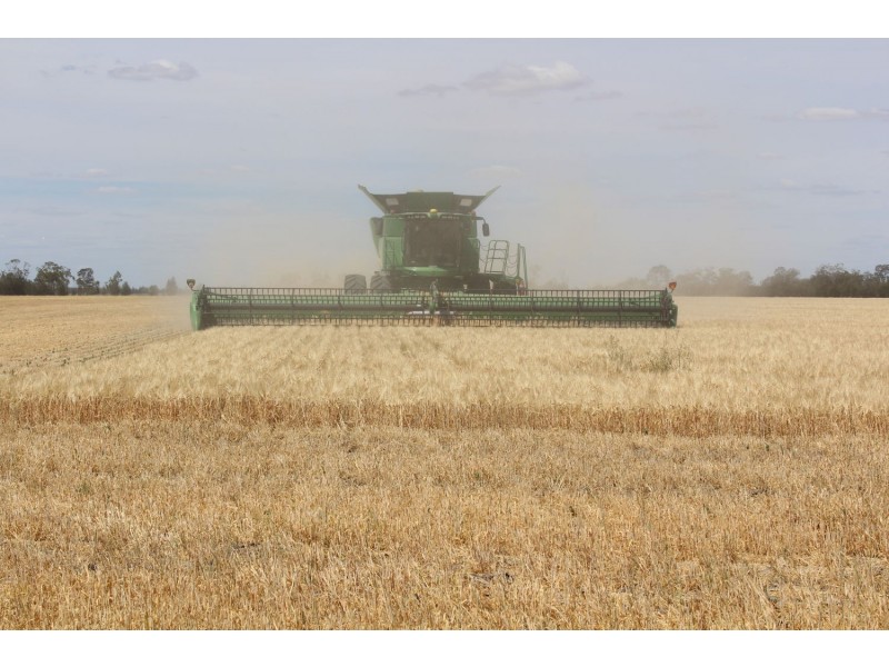 “North Yambin”, Croppa Creek NSW 2411