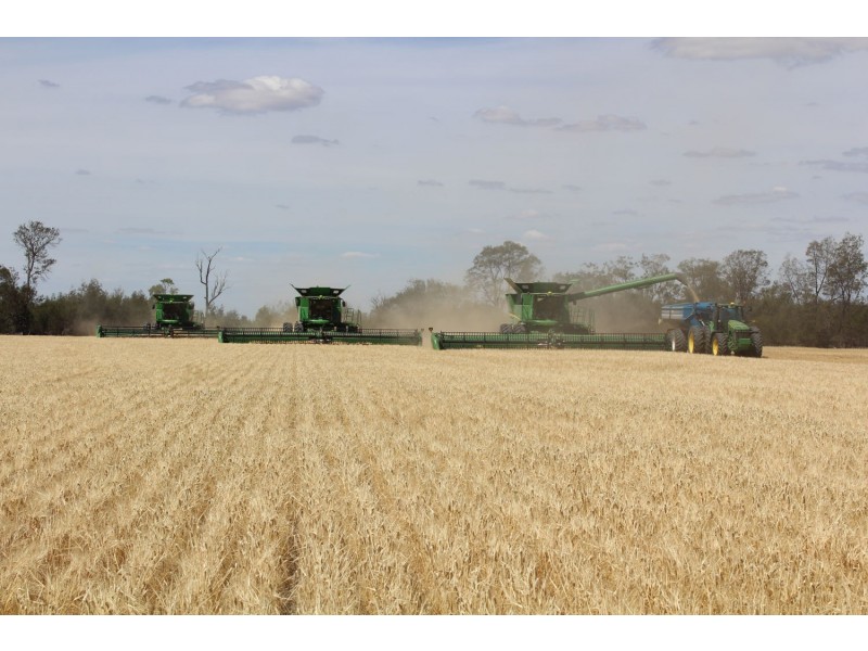 “North Yambin”, Croppa Creek NSW 2411