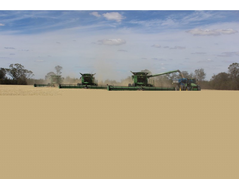 “North Yambin”, Croppa Creek NSW 2411