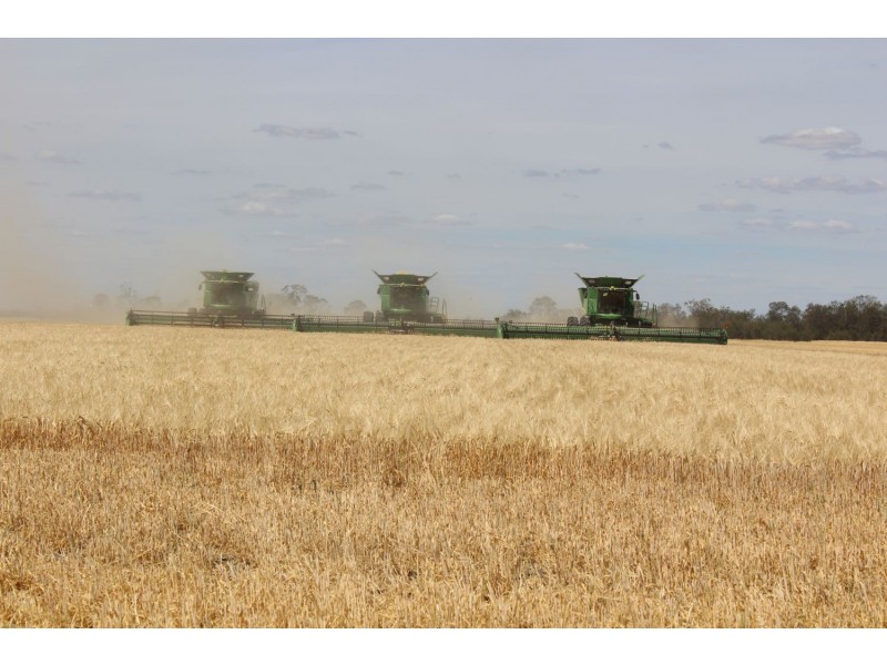 “North Yambin”, Croppa Creek NSW 2411