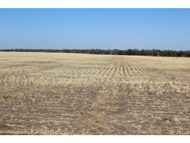 “Strathdoon”, Croppa Creek NSW 2411