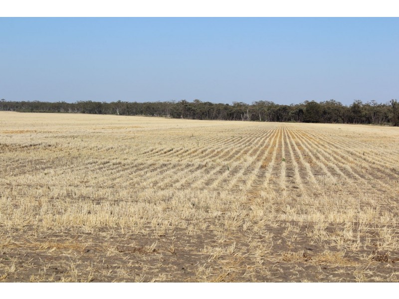 “Strathdoon”, Croppa Creek NSW 2411