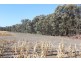 “Strathdoon”, Croppa Creek NSW 2411