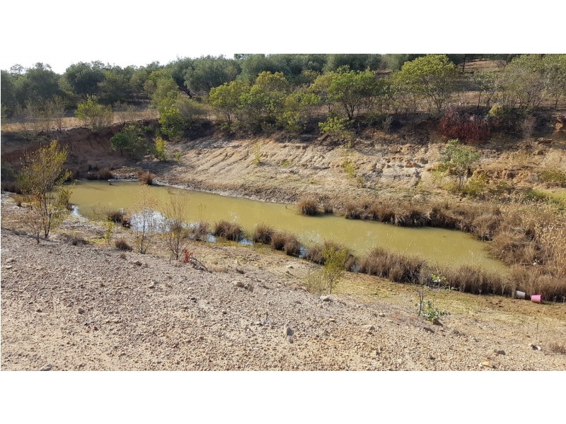 “Harvest Home”, Terry Hie Hie NSW 2400