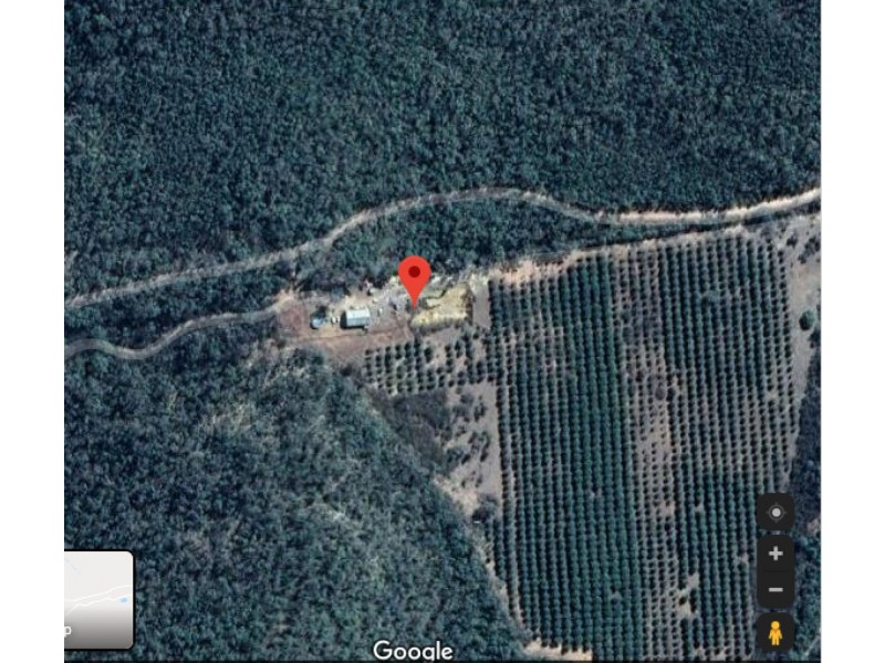 “Harvest Home”, Terry Hie Hie NSW 2400