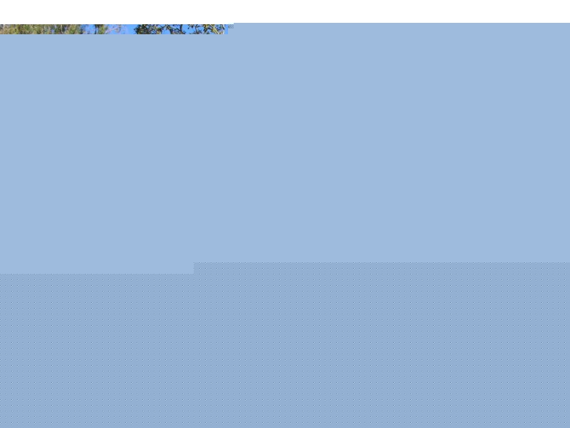 22 Hugh Street, Ashley NSW 2400