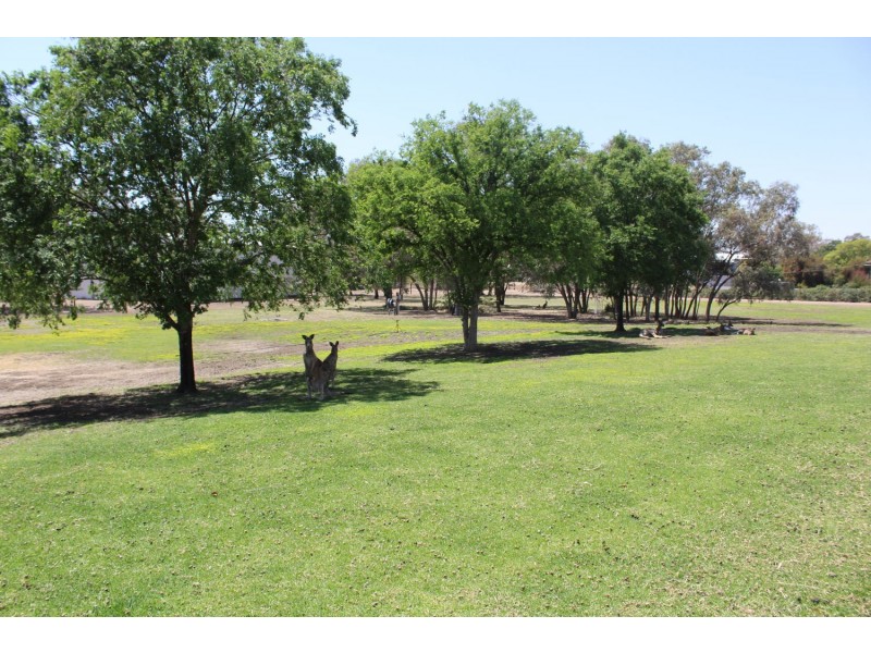 9 Robertson Avenue & Kamilaroi Drive, Moree NSW 2400