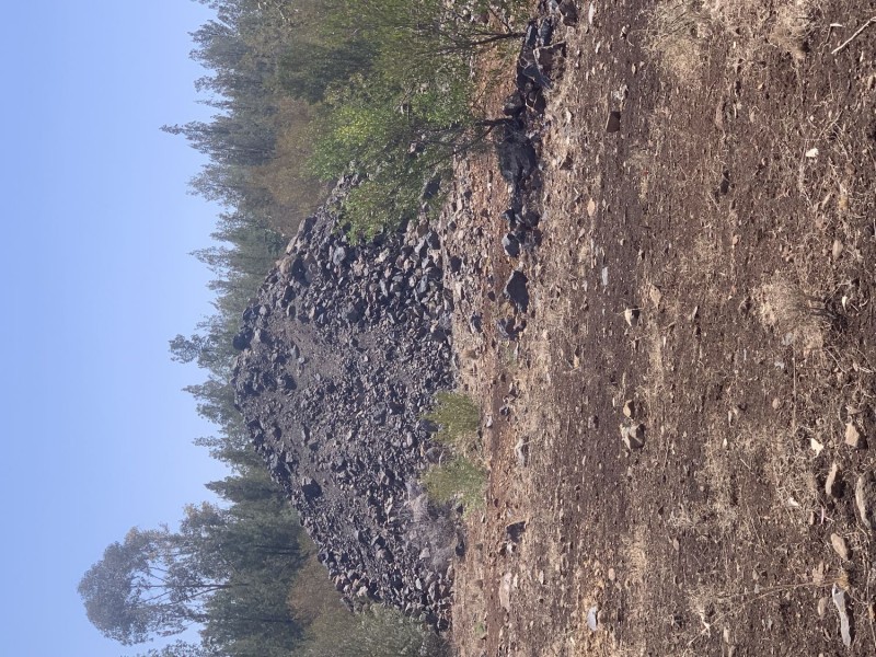 “Blue Rock”, Crooble NSW 2400