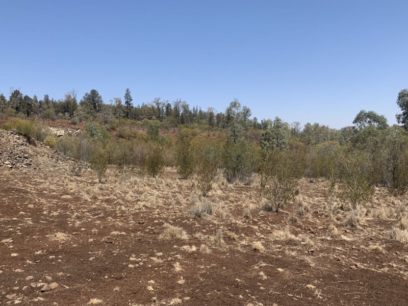 “Blue Rock”, Crooble NSW 2400