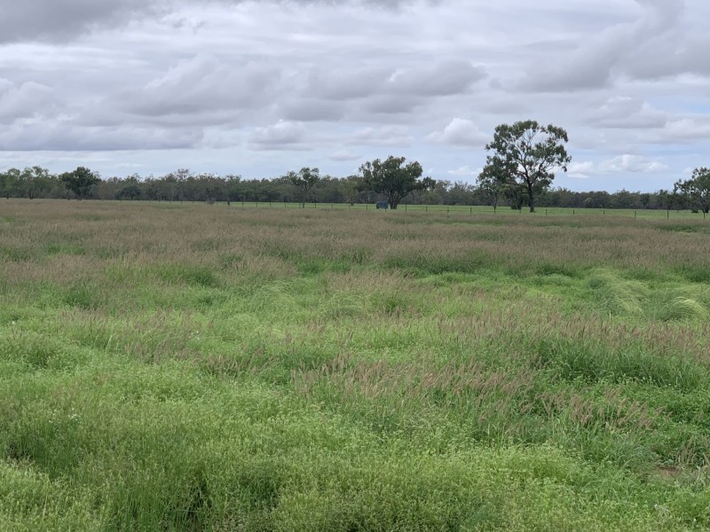 “Wombian” & “Boonewell”, Collarenebri NSW 2833