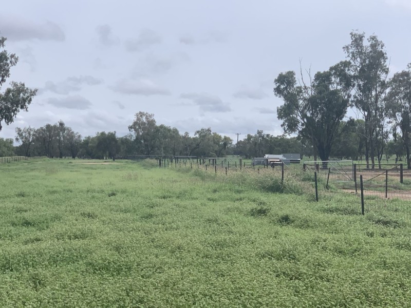 “Wombian” & “Boonewell”, Collarenebri NSW 2833