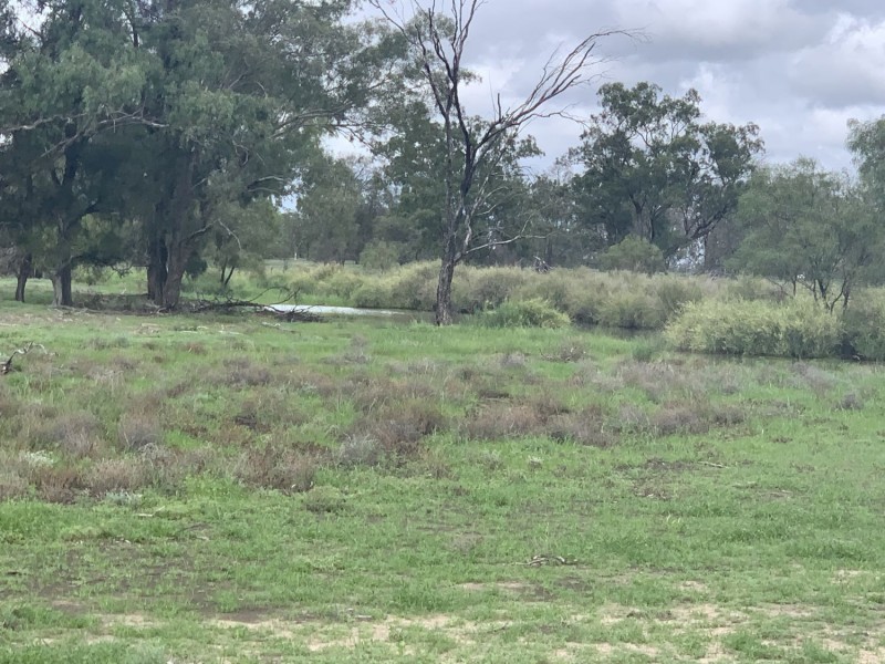 “Wombian” & “Boonewell”, Collarenebri NSW 2833