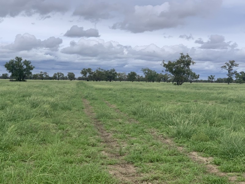“Wombian” & “Boonewell”, Collarenebri NSW 2833