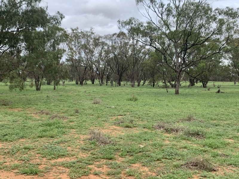 “Wombian” & “Boonewell”, Collarenebri NSW 2833
