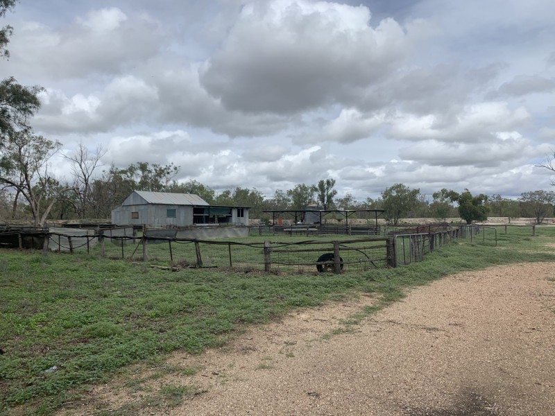 “Wombian” & “Boonewell”, Collarenebri NSW 2833