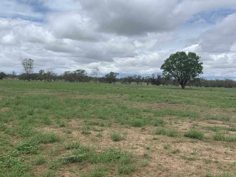 “Wombian” & “Boonewell”, Collarenebri NSW 2833