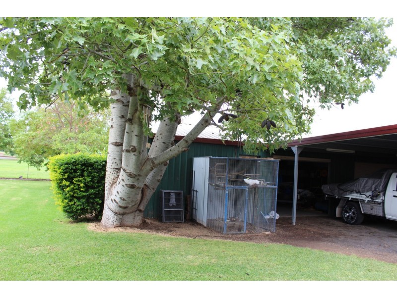 61 Boland, Moree NSW 2400