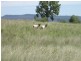 “Esmadale”, Warialda NSW 2402