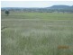 “Esmadale”, Warialda NSW 2402