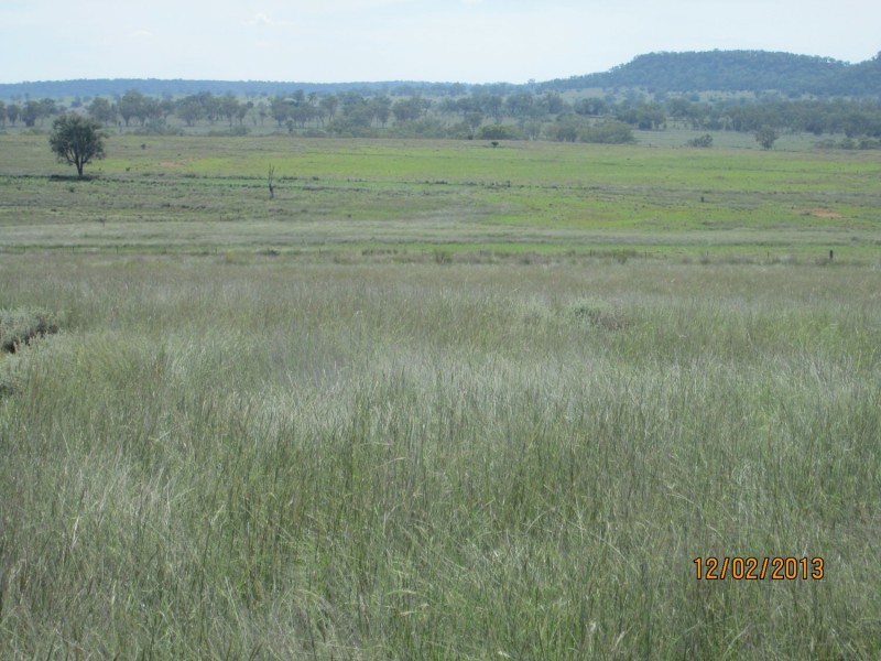 “Esmadale”, Warialda NSW 2402