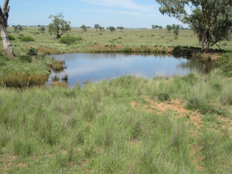 “Esmadale”, Warialda NSW 2402