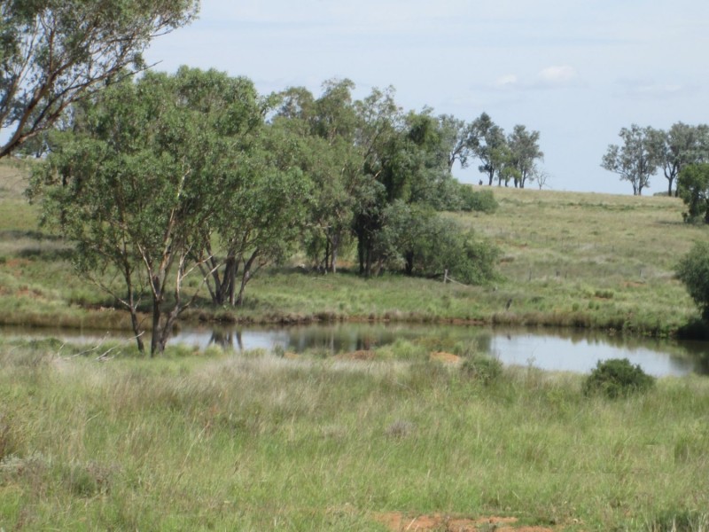 “Esmadale”, Warialda NSW 2402