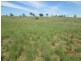 “Esmadale”, Warialda NSW 2402
