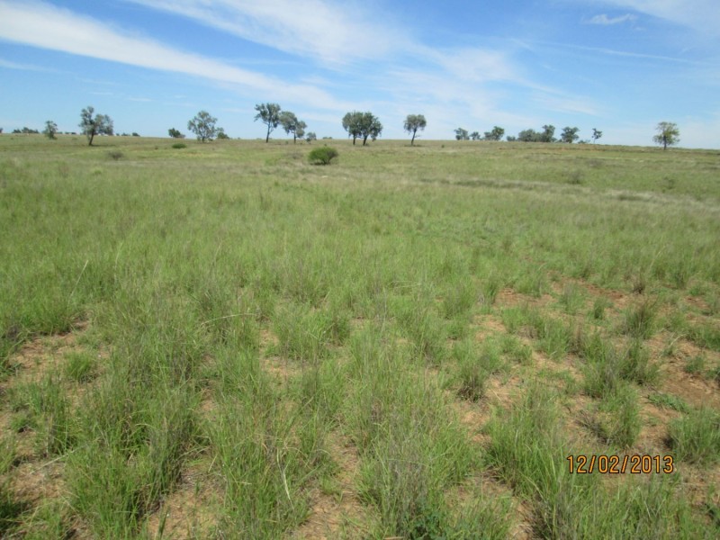 “Esmadale”, Warialda NSW 2402