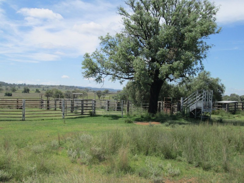 “Esmadale”, Warialda NSW 2402