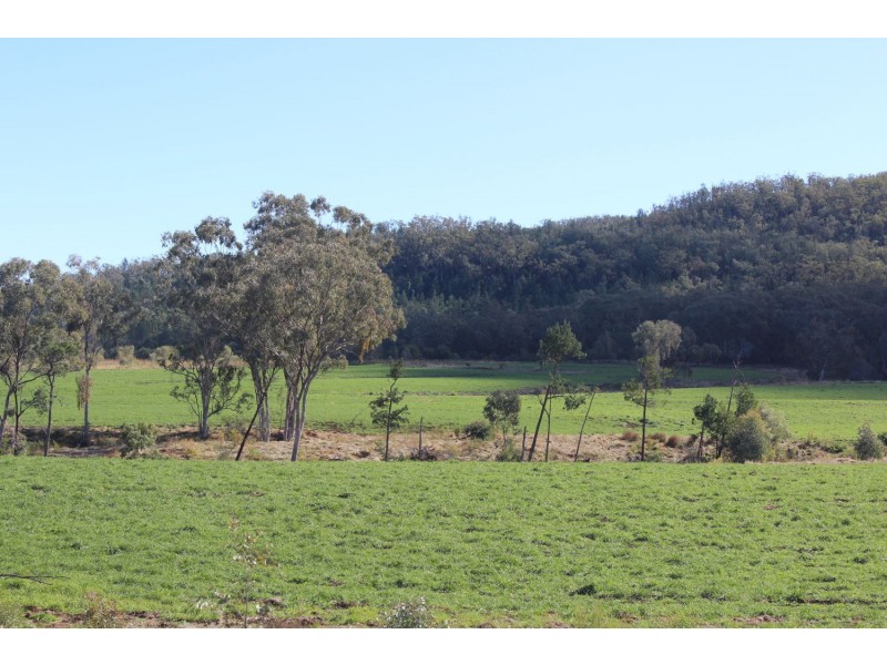 Arcadia, Bellata NSW 2397