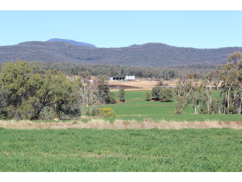 Arcadia, Bellata NSW 2397