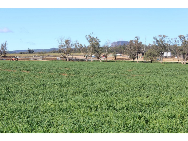 Arcadia, Bellata NSW 2397