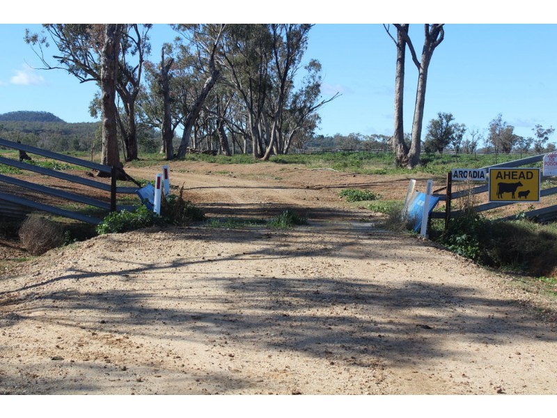 Arcadia, Bellata NSW 2397