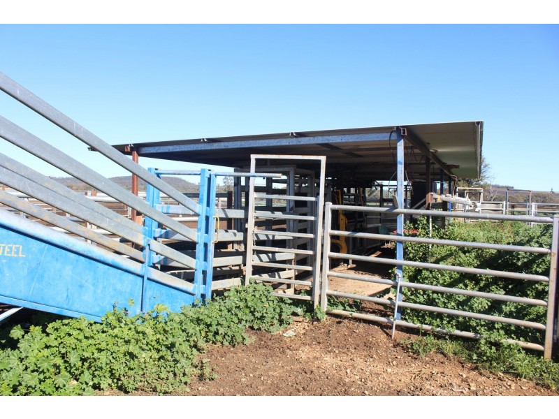 Arcadia, Bellata NSW 2397