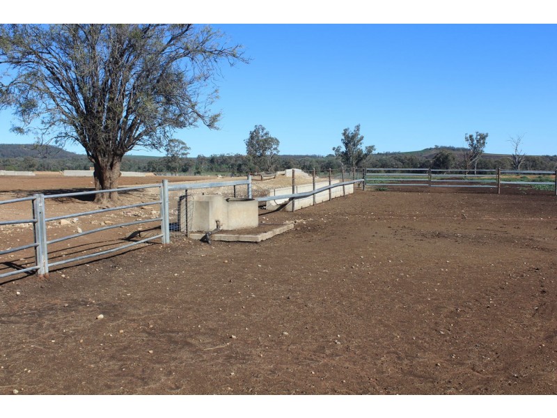 Arcadia, Bellata NSW 2397