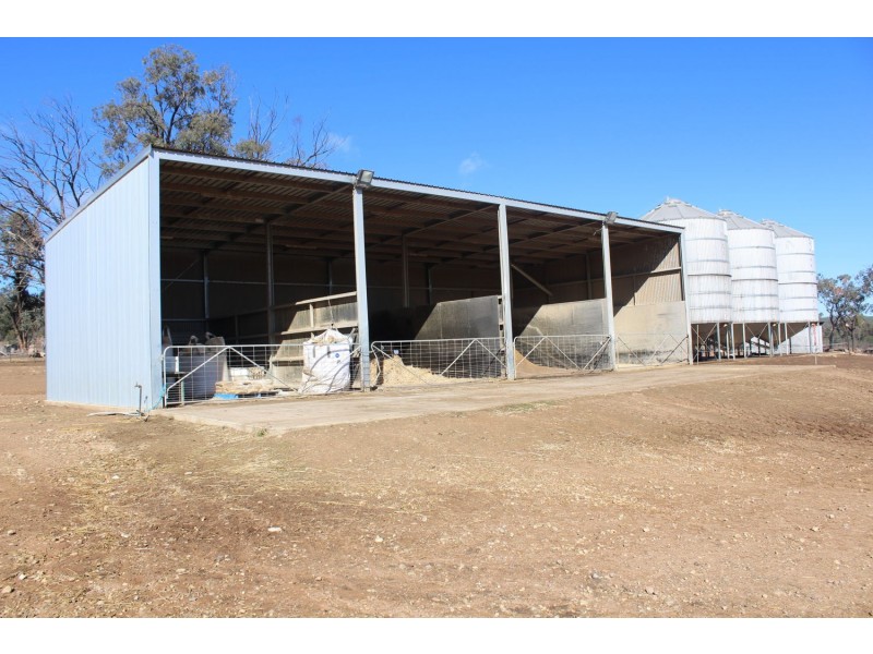 Arcadia, Bellata NSW 2397