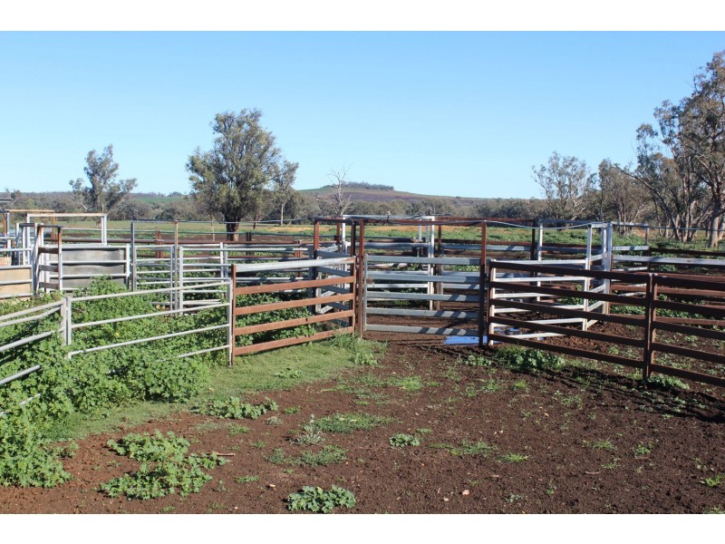 Arcadia, Bellata NSW 2397