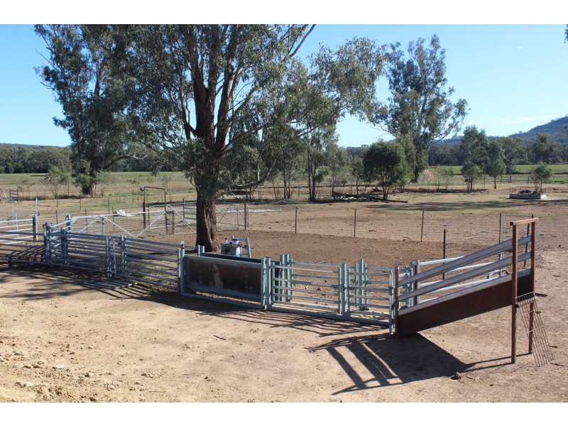 Arcadia, Bellata NSW 2397