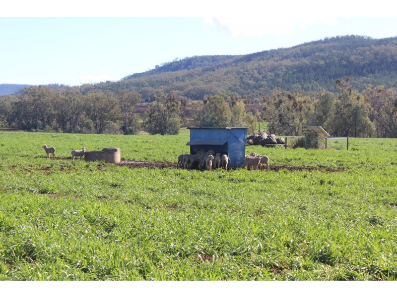 Arcadia, Bellata NSW 2397