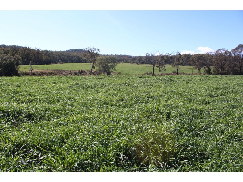 Arcadia, Bellata NSW 2397