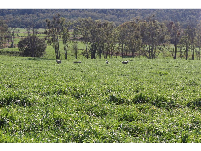 Arcadia, Bellata NSW 2397