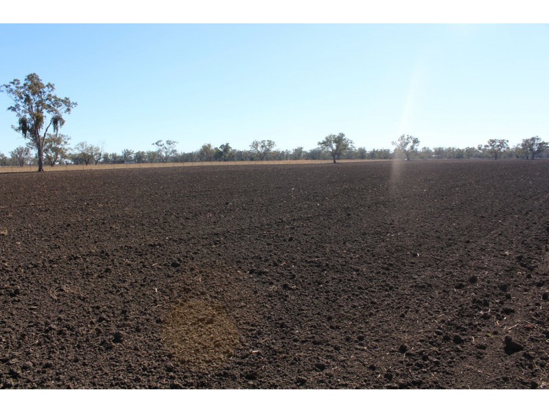 269 Bendygleet Road “River Lyn”, Moree NSW 2400